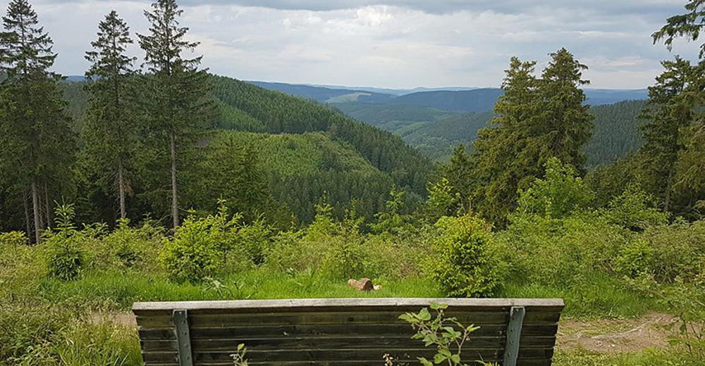 Villa Ferienhaus Astenblick - Ideal Fuer Weihnachtsfeiern Und Familienfeiern Bietet Schlafplaetze Fuer Bis Zu 35 Personen à Winterberg Extérieur photo